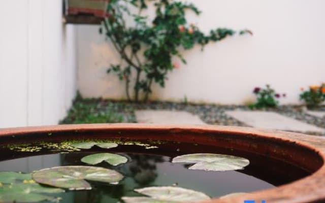 Moye bieyuan Hotel
