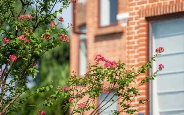 Chengdu Chuanjia Courtyard Holiday Homestay (Xinjin Huawu Renjian Branch)