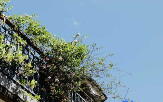 Qianshan Homestay (Huanhai West Road)