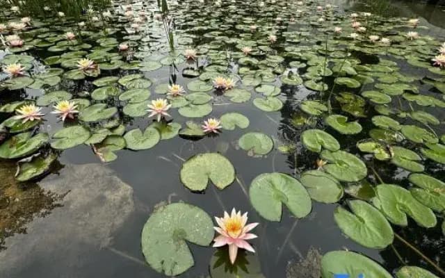 Watermark Promenade · Riverside Charm & Peak View Vacation Villa (Lijiang River Branch)