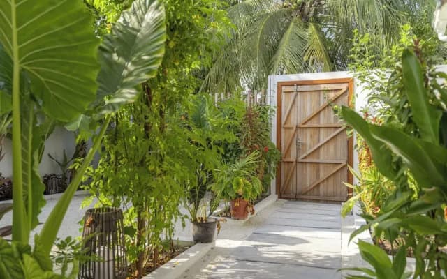 Oasis Dhigurah