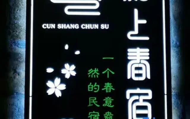 Murakami spring night