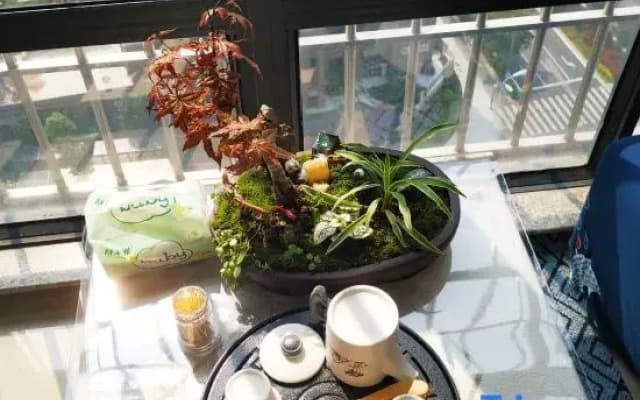 Zhangzhou Yashe Homestay (Wanda Plaza)