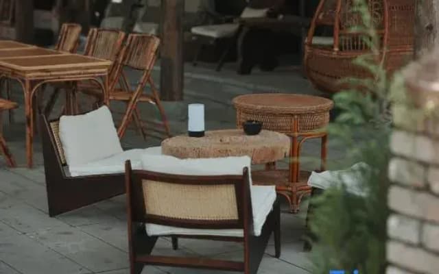Oriental Tea Haven