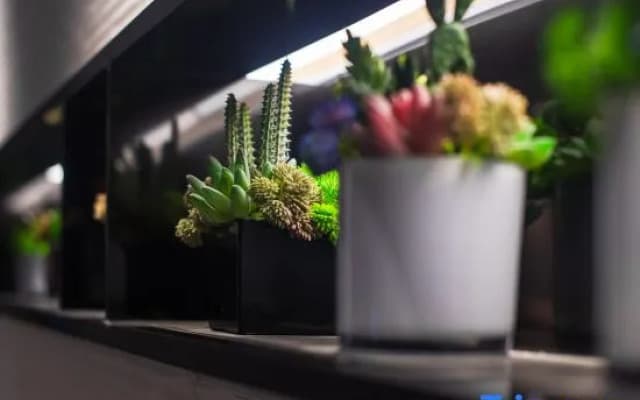 Homeinn Selected Hotel (Changzhi Shangdang Guangming Road)