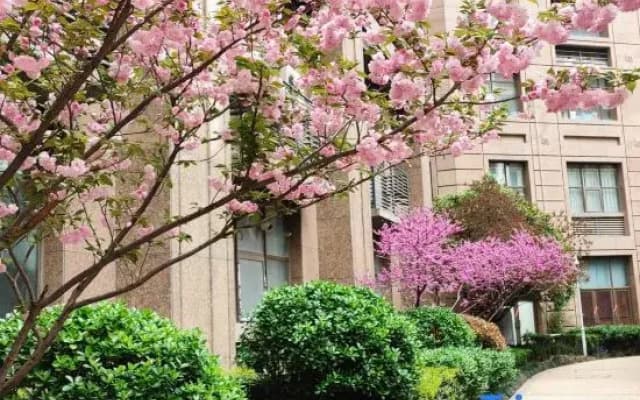 Yiyou Themed Homestay (Zhengzhou Shihao Xiaogongguan)