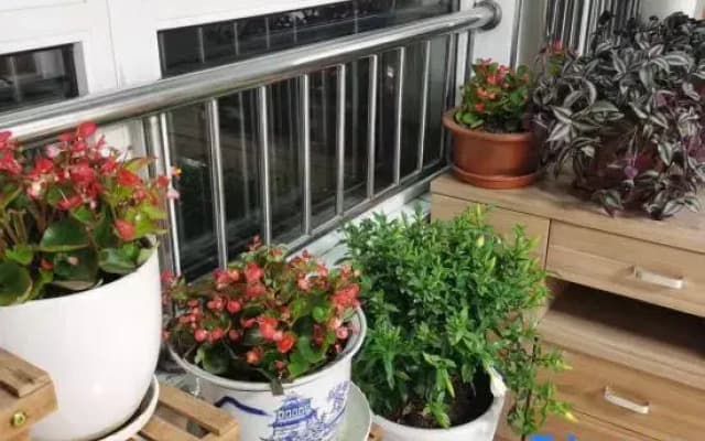 Qinghu Homestay (Hetou Old Street)