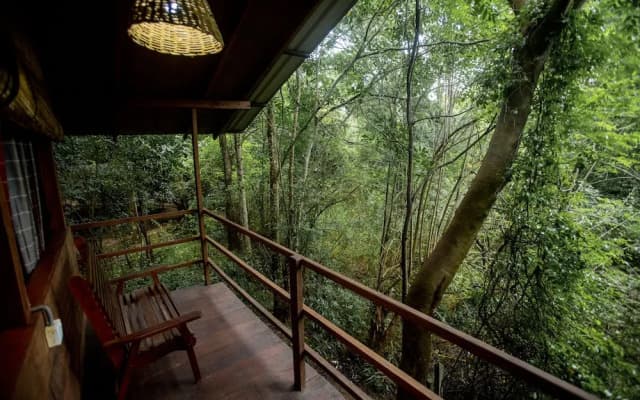 Inn On The Tree Eco Resort Sigiriya