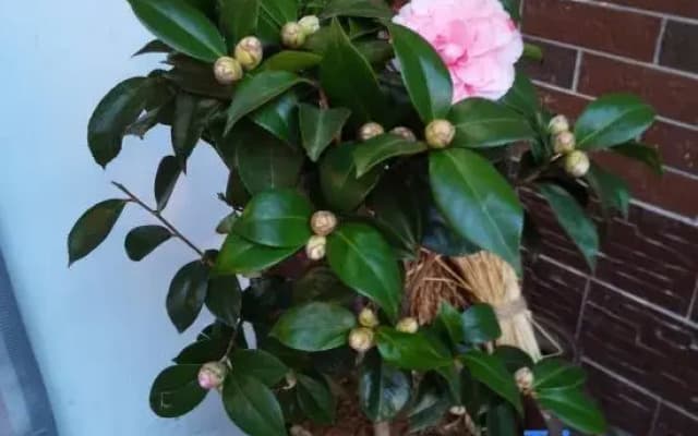 Liyang Gaolaozhuang Homestay