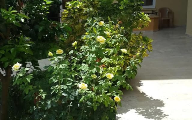 Caner Hotel
