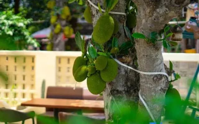 Weizhoudao Yishiguang Homestay
