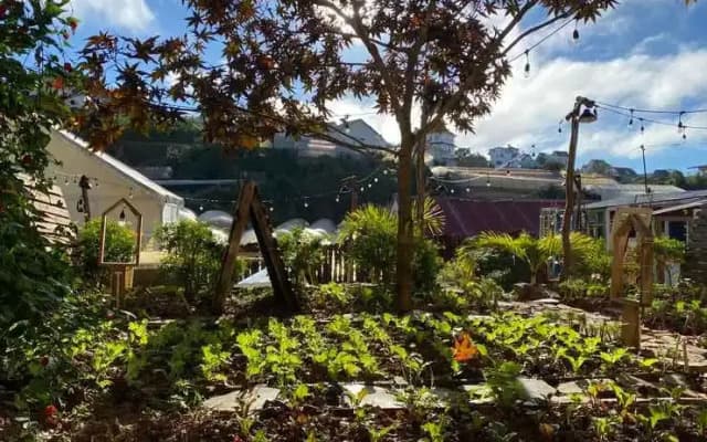 The Burrow Dalat