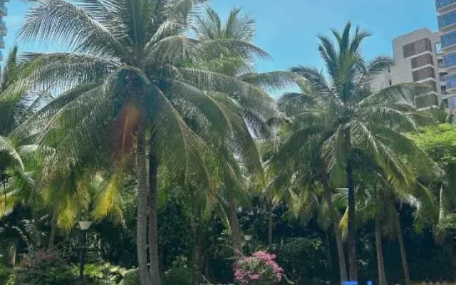 Coconut Dream Coast Luxury Private Pool Urban Vacation Boutique Stay (Sanya Coconut Dream Corridor)