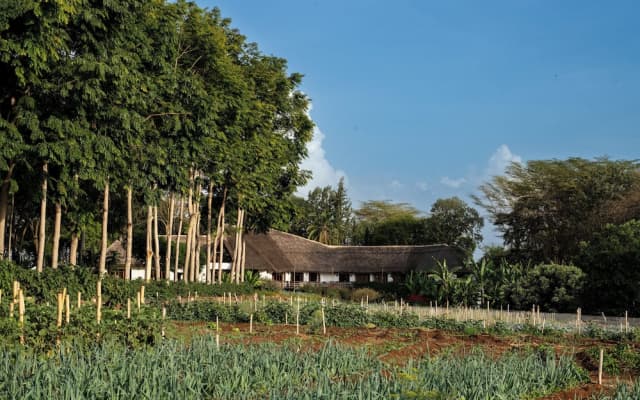 Ngorongoro Farm House
