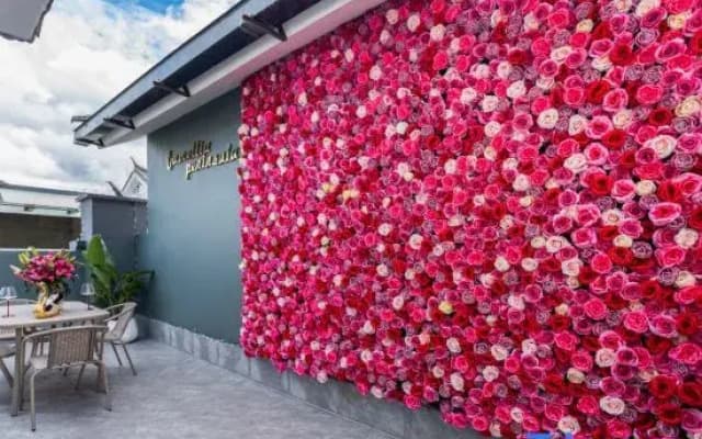 Dali Camellia Peninsula Homestay (Dali Ancient City)
