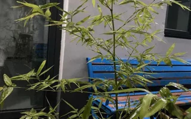 Zhengding Youke Homestay