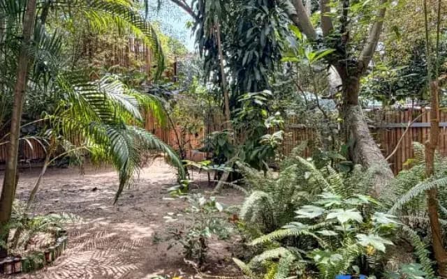 Deniz’s Zen Harmony Haven