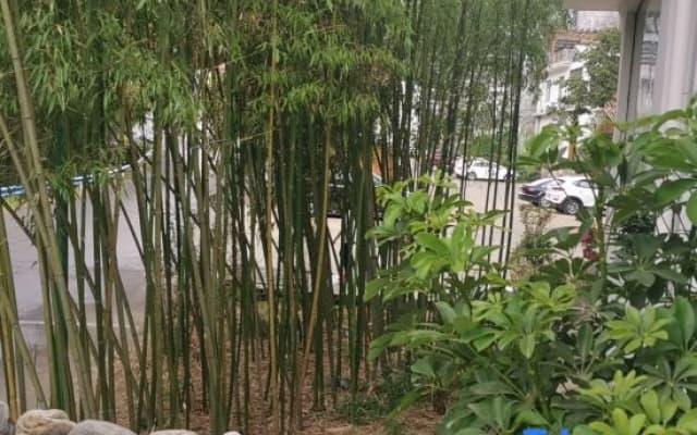 Chongdugou Scenic Area Zhuyu Mountain Retreat Homestay