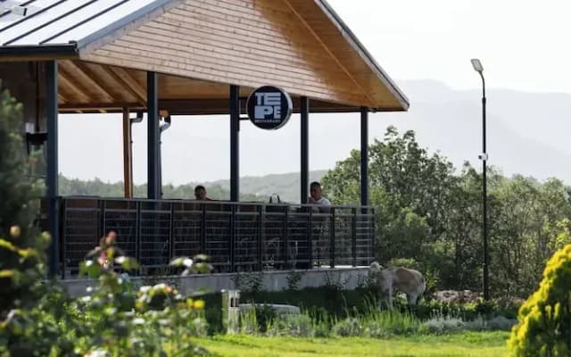 Tepe Bungalov