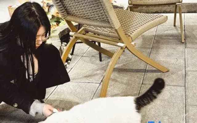 Yunbo Light Luxury Homestay (Dali Ancient City South Gate Branch)