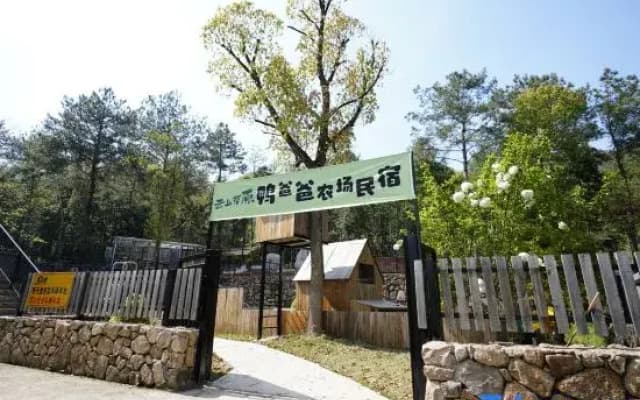 Duck Farm · The Lodge In Woods
