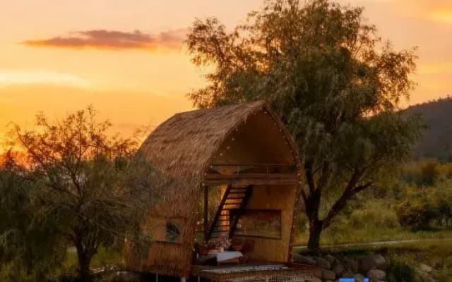 Jinyu Flower Hall Resort Homestay
