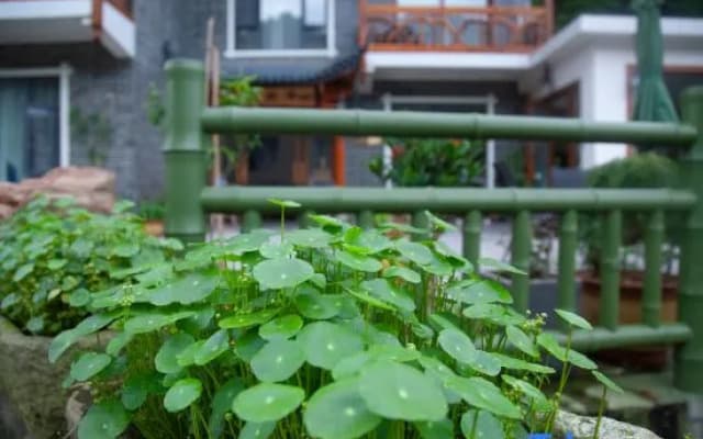 Zhulin Youju Hostel