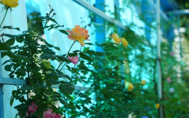 Yilan• Central Asia-Europe-Africa Ring Youth Hostel