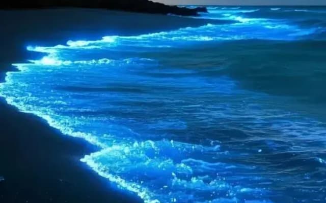 Pingtan Blue Bay Yadu Homestay (Longwangtou Beach Store)
