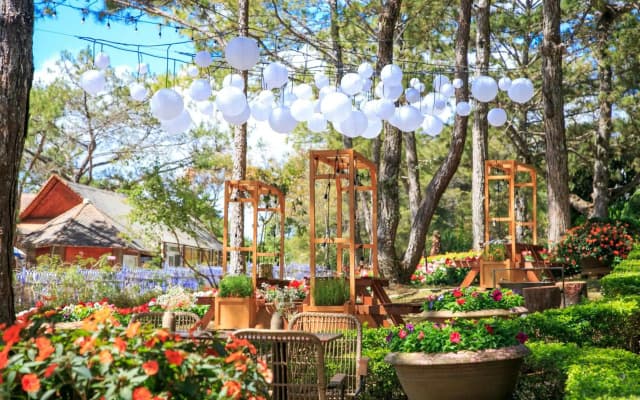 TTC Dreamy Hill Resort (Unlimited Access to TTC World - Thung Lung Tinh Yeu)