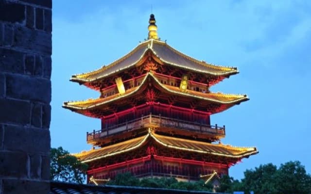 Taoyi Bird House