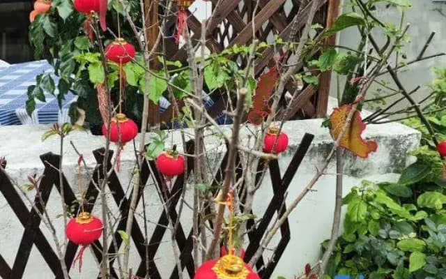 Zhaoqing Yueyuan Homestay