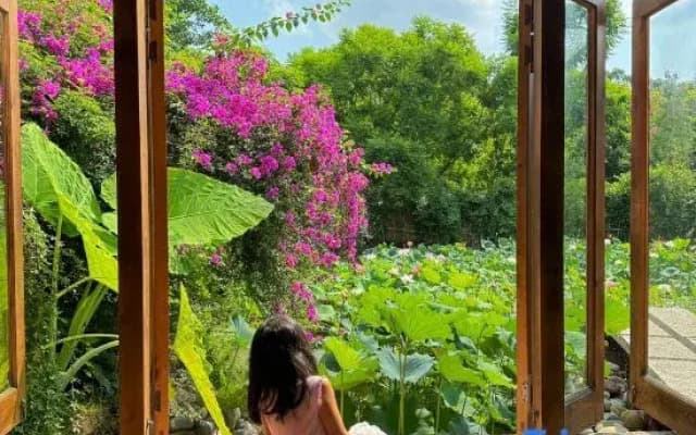 Meilan Meilu · Forest  Healing  Guesthouse