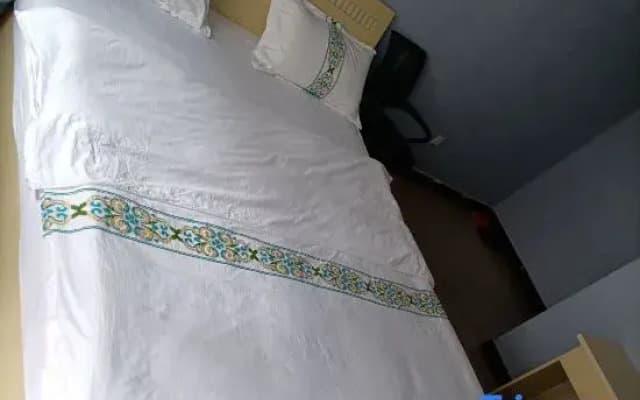 Shuxin Homestay