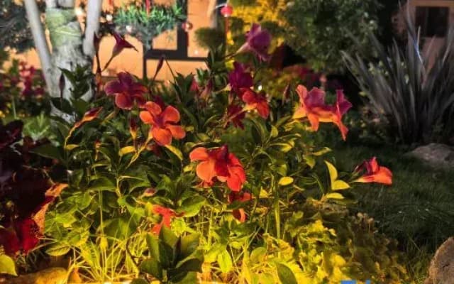 Ledao Yunnan |Mountain View Room|The Snow Mountain of Sunrise Garden Resort Designer Inn