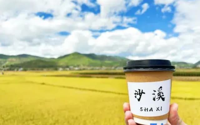 Shaxi Ancient Town Tianpan Homestay