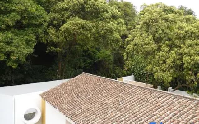 Duoman Osmanthus • Secluded Homestay