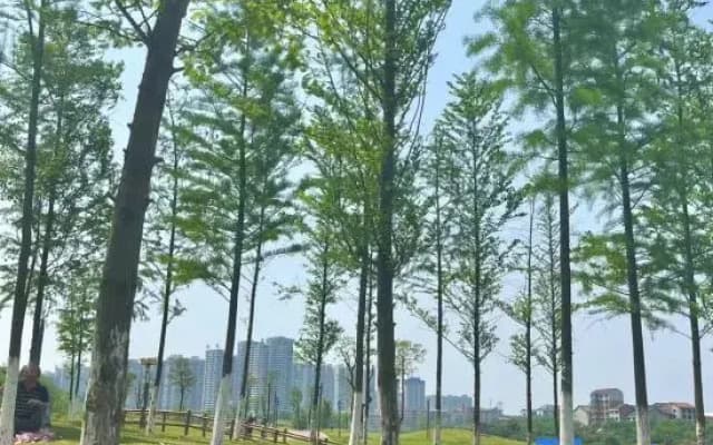 Jinhuang Premium Selected Hotel (Hengyang Nanhua Second Affiliated School City No.1 High School)