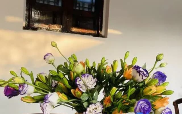 Jinglu Homestay