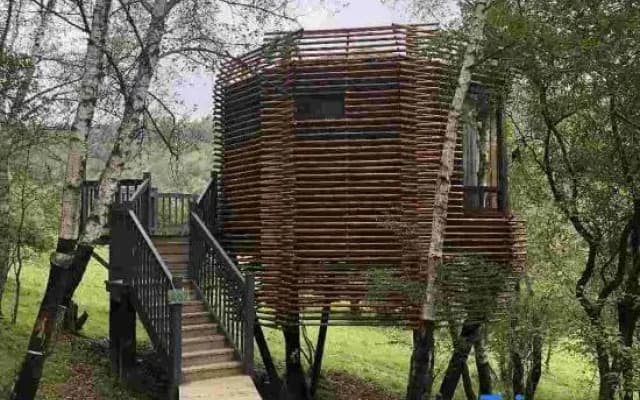 Guanshan Prairie Huaxi Sushang Tree House Hostel