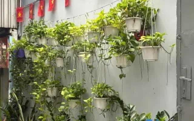 Peanuts Home Lê Lai - Chic Local Stay, 5m Walk to Ben Thanh & Bui Vien