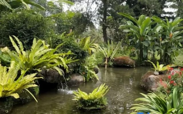 Bumi Cisarua Resort
