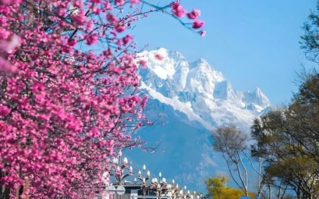 Chang Lou · Guixin Zhu | Landscape Art · Garden-Style Vacation Villa (Shuohu Ancient Town Branch)