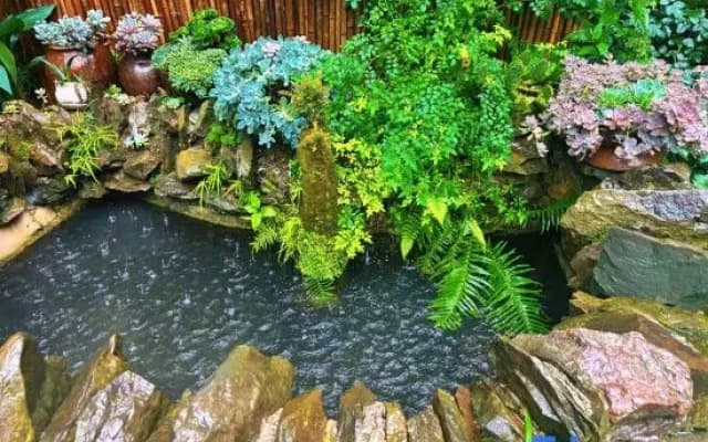 Landscapes and Waters