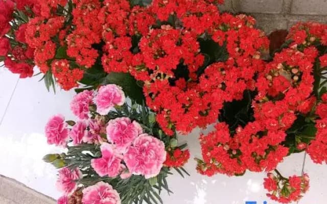 Huahua World Homestay