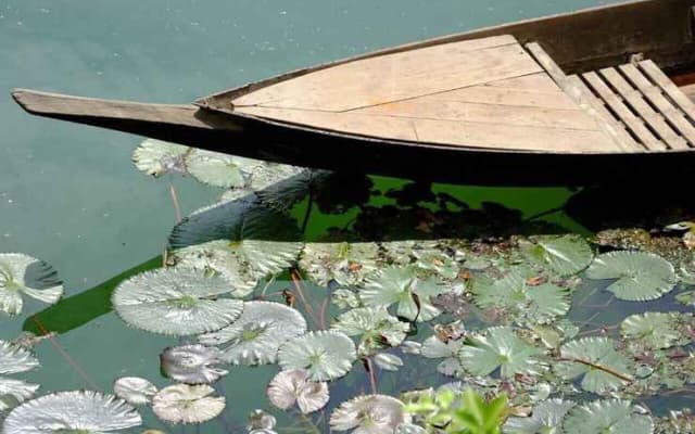 Chanmai Resort (ชานไม้ รีสอร์ท)