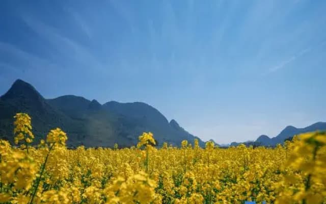 wuyuewanli homestay