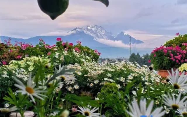 Lijiang The Rooftop Bistro&Bar• English Corner Snow Mountain view Hostel