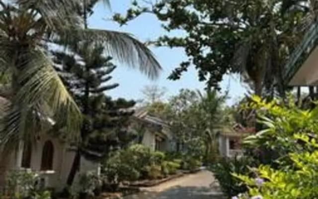 Villa Elara 1BHK Anjuna North Goa