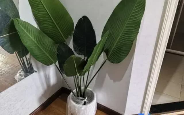 Haolaiwu Homestay (Chongqing Yangjiaping)